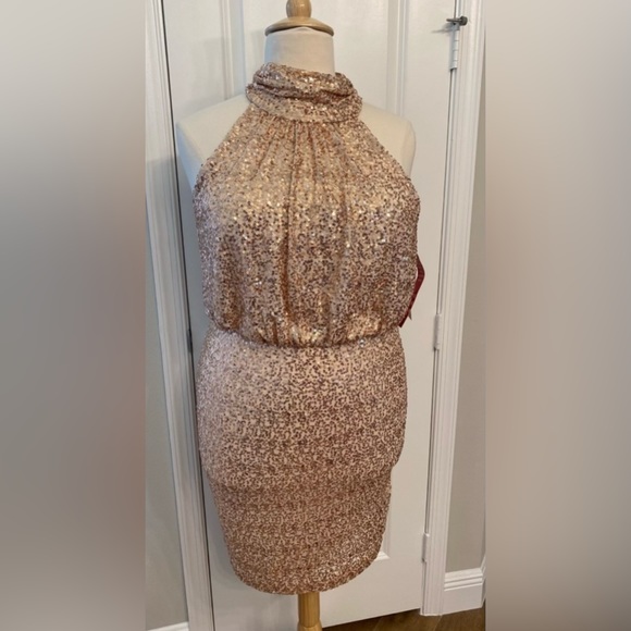 Sequin Plus Dress - Picture 4 of 6